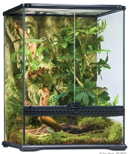 EXO-TERRA Glass Terrarium – Green Chapter