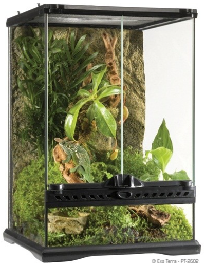 レイアウト用品 EXO TERRA GLASS TERRARIUM 4630 Amazon | エキゾテラ GEX EXOTERRA グラステラリウム 3030