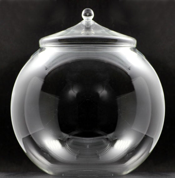 TERRA POTS Glass Closed Terrarium (S Orb Bowl / Handle Lid)
