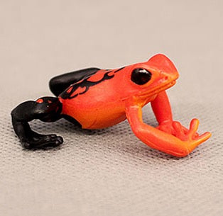 GCS Figurine Red & Black Pioson Dart Frog (4.5cm)