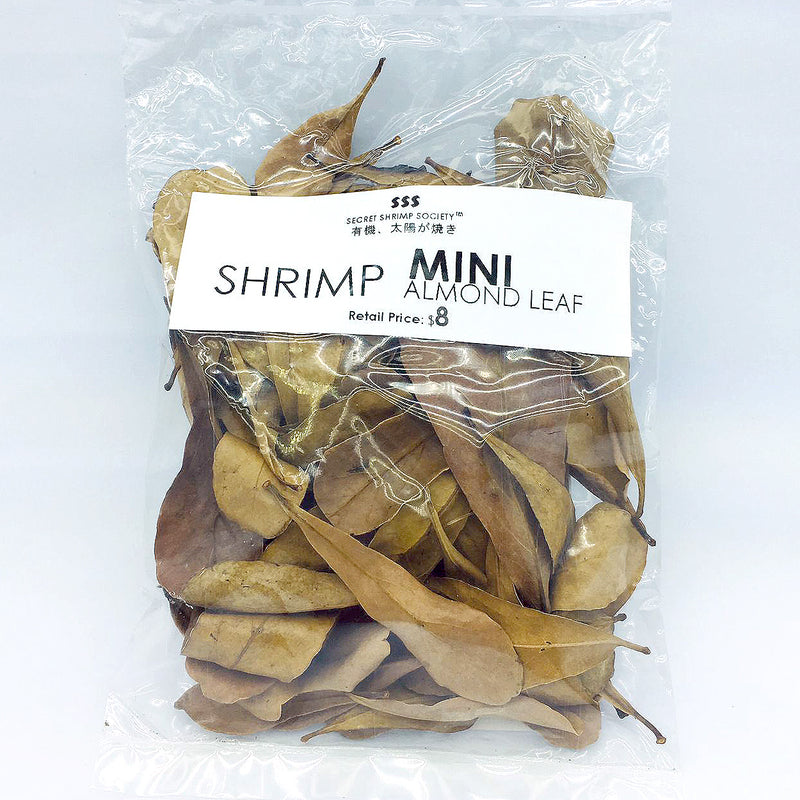 SSS Shrimp Mini Almond Leaf