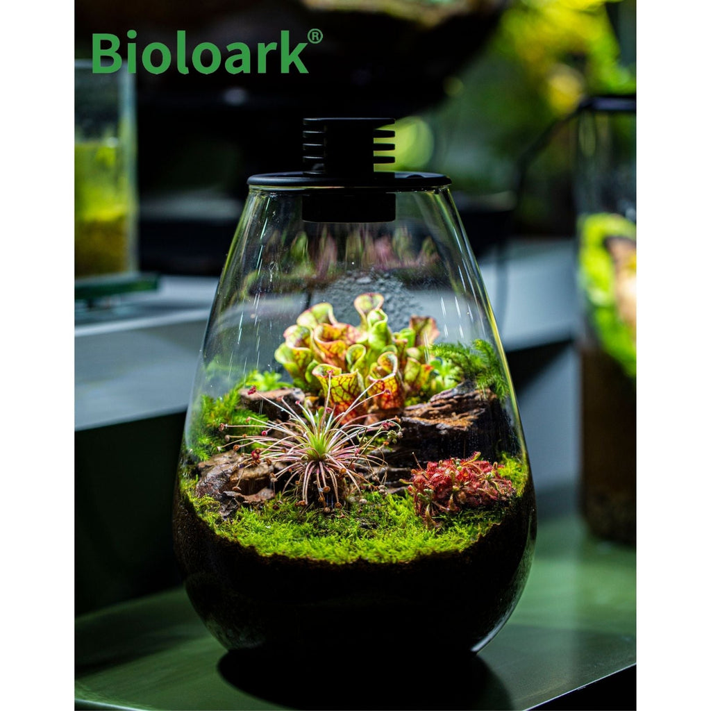 BIOLOARK LED Glass Jar SD Series