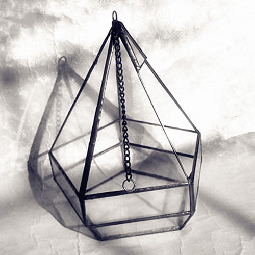 TERRA POTS Geometric Terrarium #16 (Hanging Hexagon Cage M)