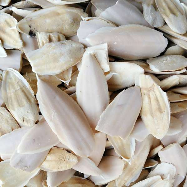FIDS-PLAY Cuttlefish Bone Chips (Tub)